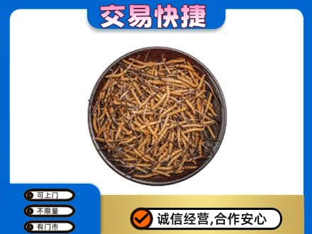 柳州市城中高价回收散虫草